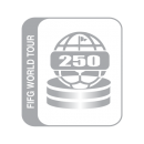 250FIFG 250FIFG